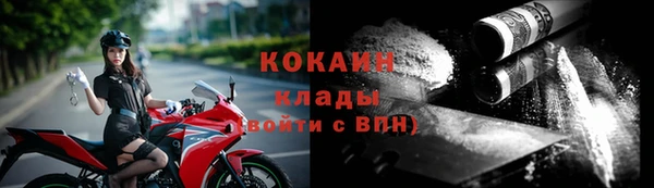 хмурый Лиски