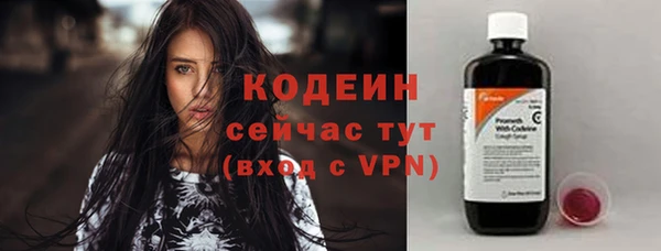 хмурый Лиски