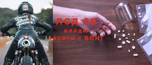 PSILOCYBIN Лабытнанги