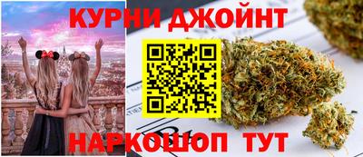 гашик Бийск