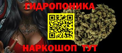 ешки Аргун