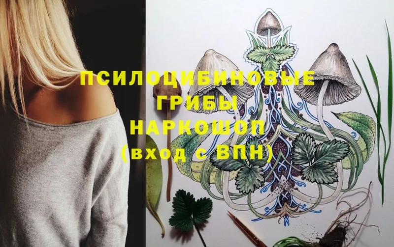 Псилоцибиновые грибы Magic Shrooms  Беслан 