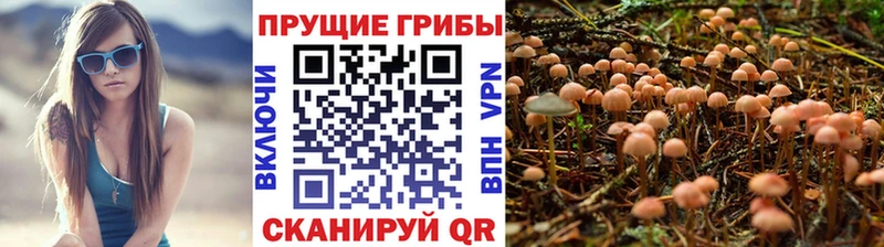 закладки  Беслан  Галлюциногенные грибы MAGIC MUSHROOMS 