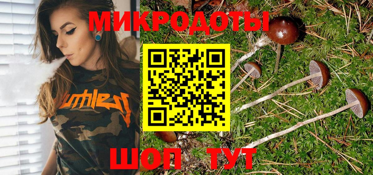 Галлюциногенные грибы Psilocybe Беслан