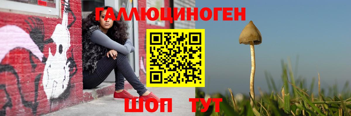 Галлюциногенные грибы прущие грибы Беслан