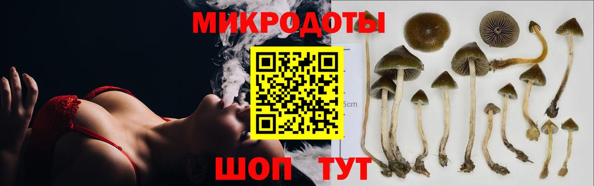 Псилоцибиновые грибы MAGIC MUSHROOMS  Псилоцибиновые грибы Psilocybine cubensis  Беслан 